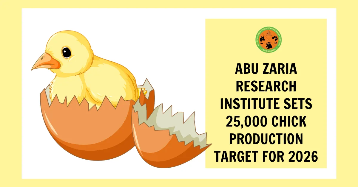 ABU Zaria Research Institute Sets 25,000 Chick Production Target for 2026