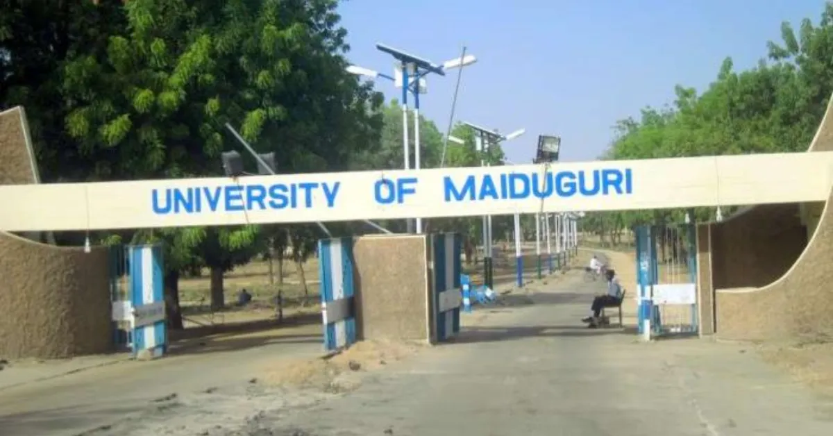 UNIMAID Courses and Programmes 2025/2026 Academic Session