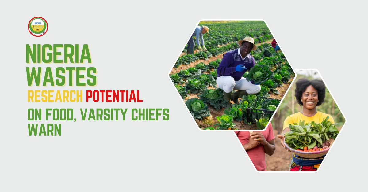 Nigeria Wastes Research Potential On Food, Varsity Chiefs Warn