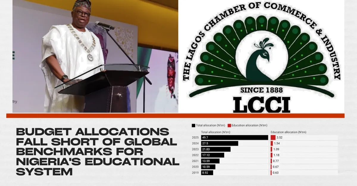 Budget Allocations Fall Short Of Global Benchmarks for Nigeria's Educational System
