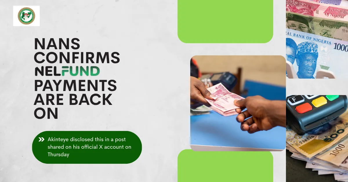 NANS Confirms NELFUND Payments Are Back On