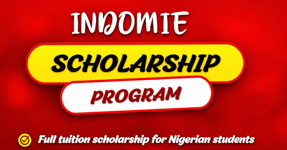 Indomie Scholarship Programme for Undergraduates 2026: Application Process